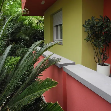 Chiara ריצ'יונה